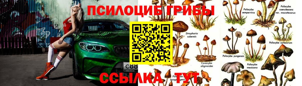 Междуреченск  закладка  Вход с VPN  Галлюциногенные грибы мухоморы 