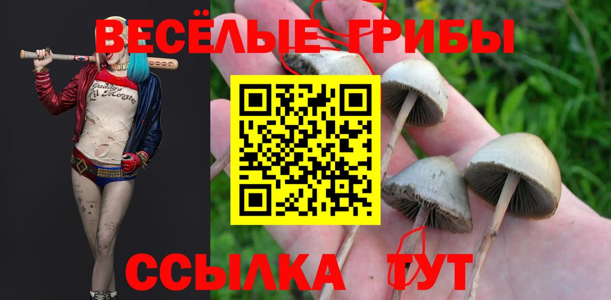 Междуреченск  Конопля  Вход с VPN  А ПВП СК кристаллы  ЭКСТАЗИ  ГАШИШ  Мефедрон кристаллы  Cocaine  LSD-25 